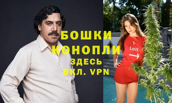 Альфа ПВП Абаза