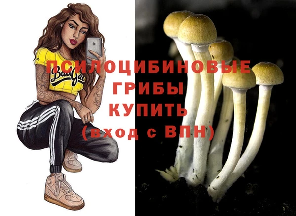 первитин Ладушкин